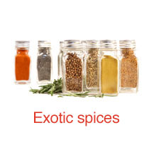 Exotické koření_EN
